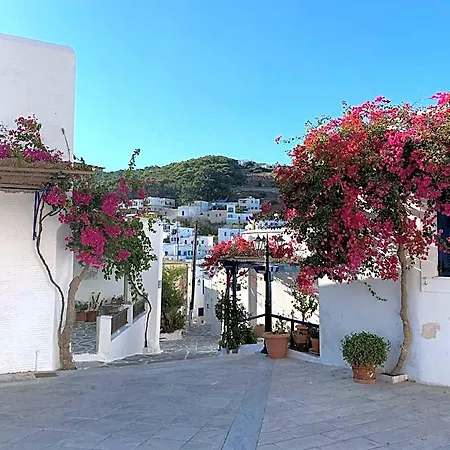 Charming Naxos With Seperate Bedroom Modern Furnishing Close To The Saint George Naxos City
